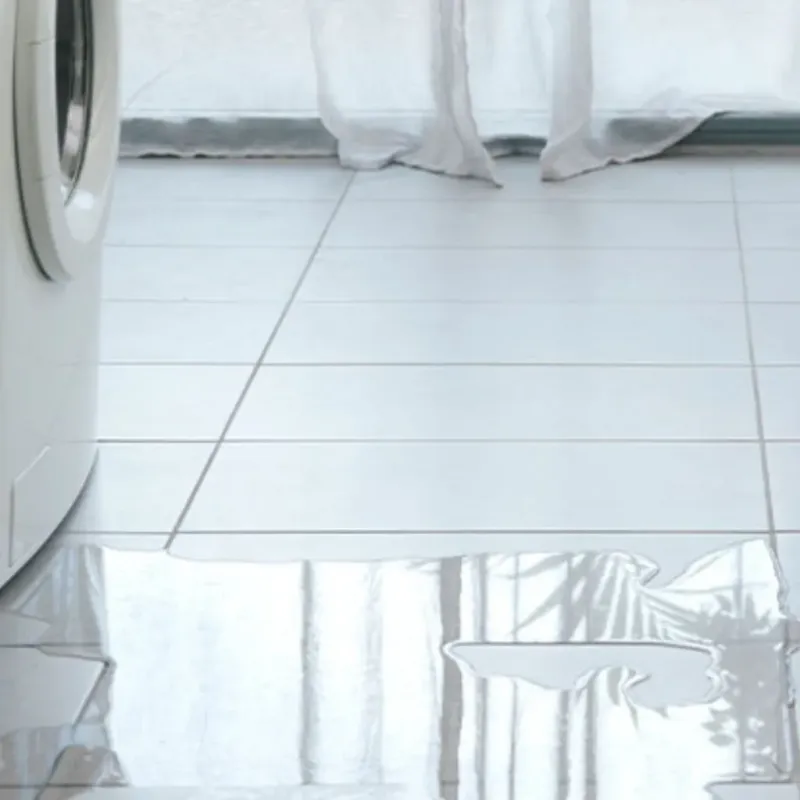 Appliance Leak Cleanup in Swansea, IL