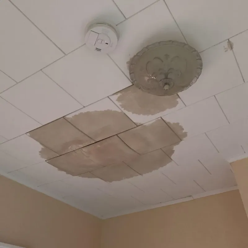 Ceiling Water Damage Repair in Swansea, IL