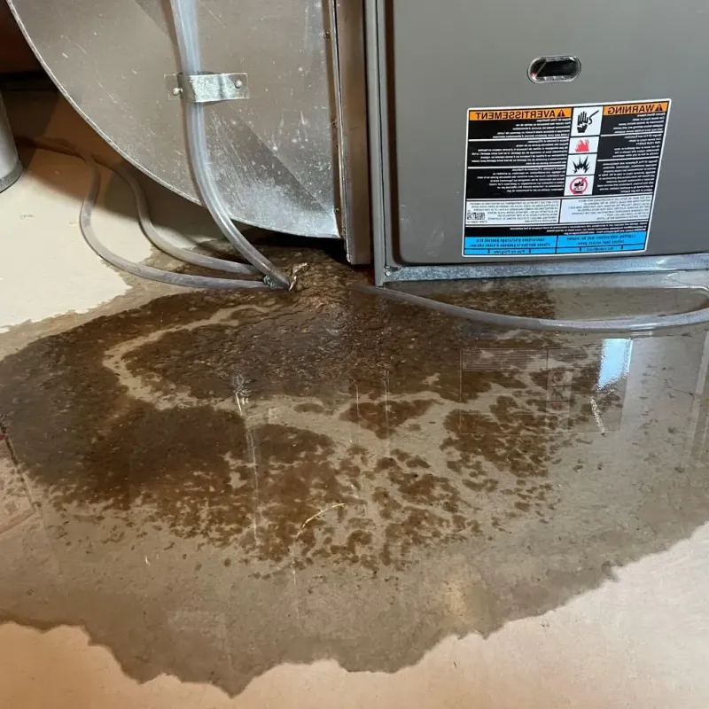 Pipe Burst and Leak Restoration in Swansea, IL