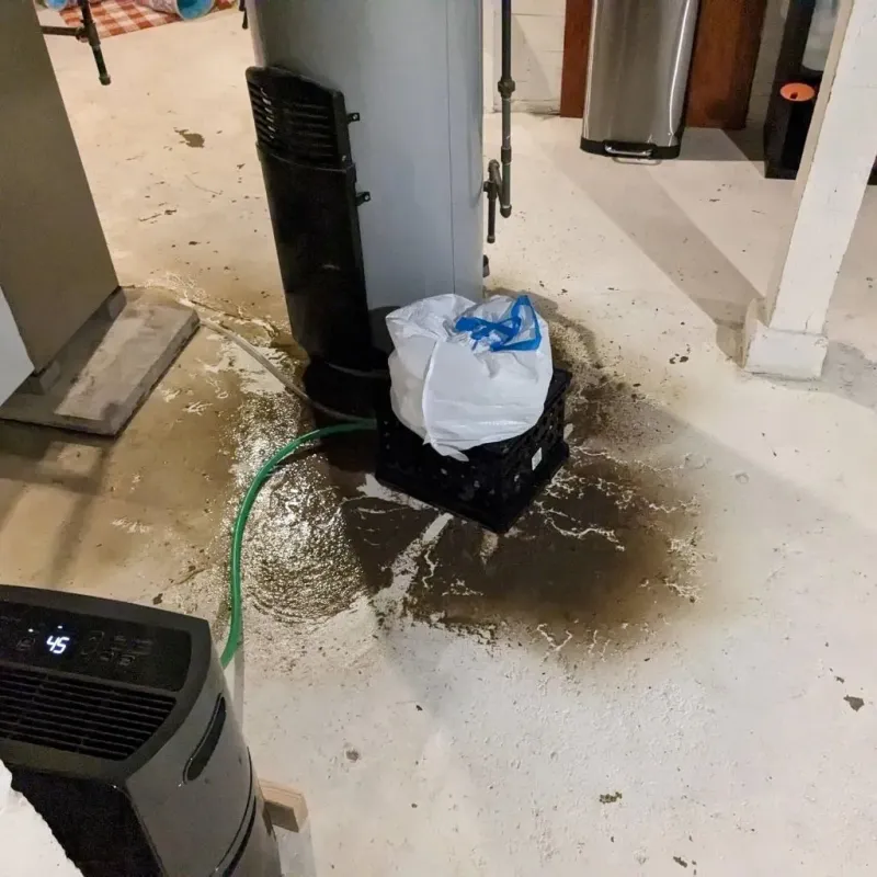 Sewage Backup Cleanup Service in Swansea, IL